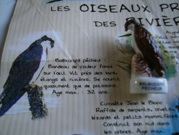 FEVE BRILLANTE -  LES OISEAUX PROTEGES DES RIVIERES -  BALBUZARD PECHEUR - WWF - Animaux