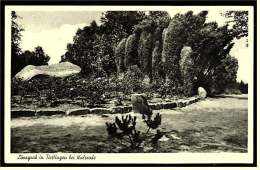 Löns Grab In Tietlingen Bei Walsrode  -  Ansichtskarte Ca. 1935    (2162) - Walsrode