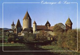 Estavayer-le-Lac Le Château Et La Collégiale - Estavayer