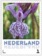 Nederland  2013-3  Ucollect  Orchideen 8 Gevrlekte Duin Orchis Postfris/mnh/neuf - Unused Stamps