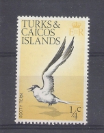 Turks & Caicos Inseln 1/4C ** MNH 1973 Bird Vogel Sooty Tern SG 381 Yv 311 - Turcas Y Caicos