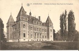 Audenarde Oudenaarde Le Chateau - Oudenaarde