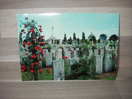 Passendale-Zonnebeke (Ieper) - Tyne Cot Cemetry 1914 - 1918 - Zonnebeke