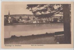 Germany - Braunlage Im Oberharz - Blick Vom Gondelteich - Braunlage