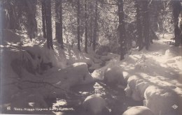 ¤¤  -   BULGARIE   -  Carte Photo  -   Paysage De Neige   -  ¤¤ - Bulgarie