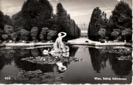 VIENNE : Vue Sur Le Jardin Du Château De Schönbrunn - Palacio De Schönbrunn