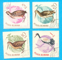 ROMANIA ROUMANIE OISEAUX 1965 / OBLITERE TRACES DE CHARNIERES / H 67 - Picotenazas & Aves Zancudas