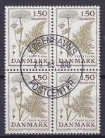 Denmark 1977 Mi. 654   1.50 Kr Bedrohte Flora Sumpf-Brenndolde Threatened Flora 4-Block !! - Blokken & Velletjes