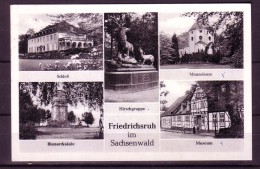 AK Friedrichsruh Im Sachsenwald -Mehrbild-Karte . Gel. 1957 - Friedrichsruh