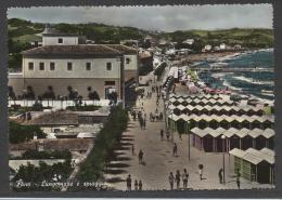 5250-FANO(PESARO-URBINO)-LUNGOMARE E SPIAGGIA-ANIMATA-1954-FG - Fano