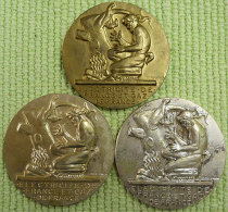 3 Medailles Electricité Et Gaz De France Bronze  Henry Dropsy 20-25-30années De Service Diametre 5,5cms 70gr Chacune - Professionals / Firms
