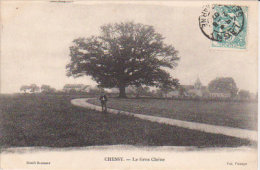 1907 - Chessy " Le Gros Chêne " Animée - Torcy