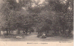 1924   Milly   " Coquibre " - Marseille-en-Beauvaisis