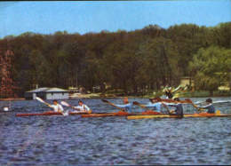 Romania-Postcard Unused-Rowing-Kayak 2-2/scans - Aviron