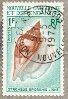 NOUVELLE CALEDONIE : Strombus Epidromis (espèce D' Escargot De Mer) - Vie Marine - Coquillage - - Used Stamps