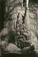 Monaco. La Grotte De L'Observatoire. Angkor. - Exotischer Garten