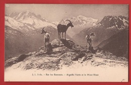 Z0209 Sur Les Sommets De Salvan, Aiguille Verte Et Le Mont Blanc, Chèvres. Non Circulé. Jullien 3162 - Salvan