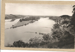 49  CHAMPTOCEAUX     VUE  SUR  LA  LOIRE   L  ILE  NEUVE - Champtoceaux