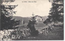 7854 - Côte Aux Fées La Crête - La Côte-aux-Fées