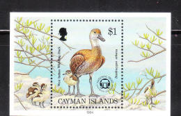 Cayman Islands 1994 West Indian Whistling Duck S/S MNH - Cayman (Isole)