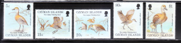 Cayman Islands 1994 West Indian Whistling Duck MNH - Kaimaninseln