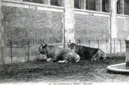 Paris XIX Eme  75   . Abattoirs De La Villette. Bouverie - Paris (19)