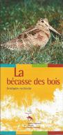 Bécasse Des Bois (oiseau) Office National De La Chasse Et De La Faune Sauvage - Chasse/Pêche