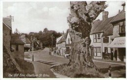 BLACK & WHITE POSTCARD - The Old Elm - Chalfont St. Giles - Bucks - Buckinghamshire