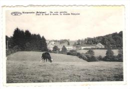 Macquenoise Un Coin Paisible Dans Le Fond La Douane Française - Momignies