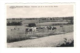 Macquenoise Panorama  Prix De La Route Du Four Mathot - Momignies