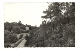 Cp, 56, Muzillac, Chemin De Pen Mur Et Champ De Bataille - Muzillac