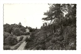 Cp, 56, Muzillac, Chemin De Pen Mur Et Champ De Bataille - Muzillac