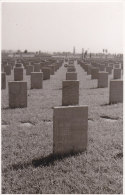 Kriegsgräberstätte Des II.WK, Foto Um 1970 - Cimiteri Militari