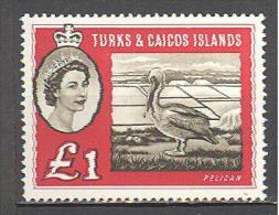 Turks: Yvert N°176A**; MNH; Oiseaux; Birds; Vögel; Pélican - Turcas Y Caicos