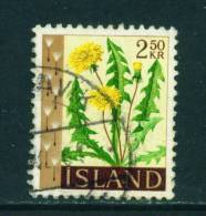 ICELAND - 1960 Flowers 2k50 Used (stock Scan) - Usati