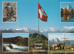 Suiza--vistas Varias--Telldenkmal--Matter Horn--aletschgebiet Mit Walliseralpen--Stroos,Alpe Segen-Rheinfall-1991 - Matt