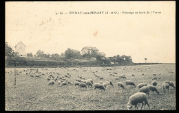 91 EPINAY SOUS SENART / Pâturage Au Bord De L'Yerres / - Epinay Sous Senart