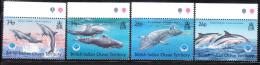 Bristish Indian Ocean Territories BIOT 1998 International Year Of Ocean MNH - British Indian Ocean Territory (BIOT)