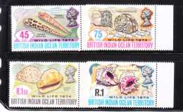 Bristish Indian Ocean Territories BIOT 1974 Seashells MNH - Brits Indische Oceaanterritorium