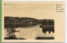 Ruppiner Schw. Binenwalde Am Kalksee Um 1950/1960, Verlag: Carl Schmutzler , Postkarte,  Unbenutzte Karte - Neuruppin