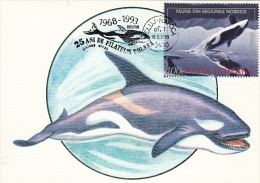 WHALES, CM, MAXICARD, CARTES MAXIMUM, 1993, ROMANIA - Baleines