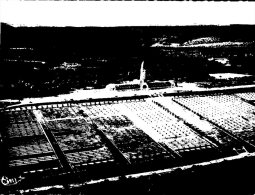 (482M) Military - France - Verdun Douaumont Ossuaire Et Cimetiere Militaire - Soldatenfriedhöfen