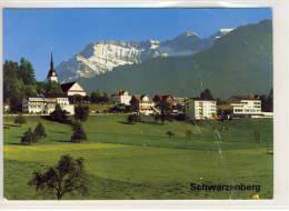 SCHWARZENBERG (LU) - Erholungs- Und Wandergebiet, Panorama,  Nice Stamp - Schwarzenberg