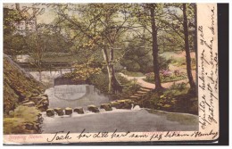 The Stepping Stones, Dovedale, Derbyshire - Derbyshire