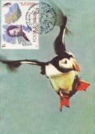 EXPLORERS, ANTARKTIK EXPLORERS, SEAGULL, CM, MAXICARD, CARTES MAXIMUM, 1990, ROMANIA - Exploradores