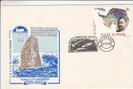 GREY WHALES,  EMIL RACOVITA- EXPLORER, SHIPS, SPECIAL COVER, 1987, ROMANIA - Wale