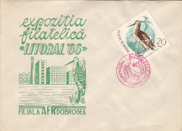 SEAGULLS, SPECIAL COVER, 1966, ROMANIA - Meeuwen