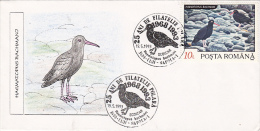 SEAGULL, SPECIAL COVER, 1993, ROMANIA - Seagulls