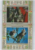 L'Almanach Du Facteur De 1992 - Grand Format : 1991-00