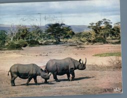 (987M) Rhinoceros (Cote D´Ivoire) - Rhinoceros